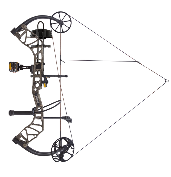 The Bear Archery Species XT single cam compound bow at full draw.